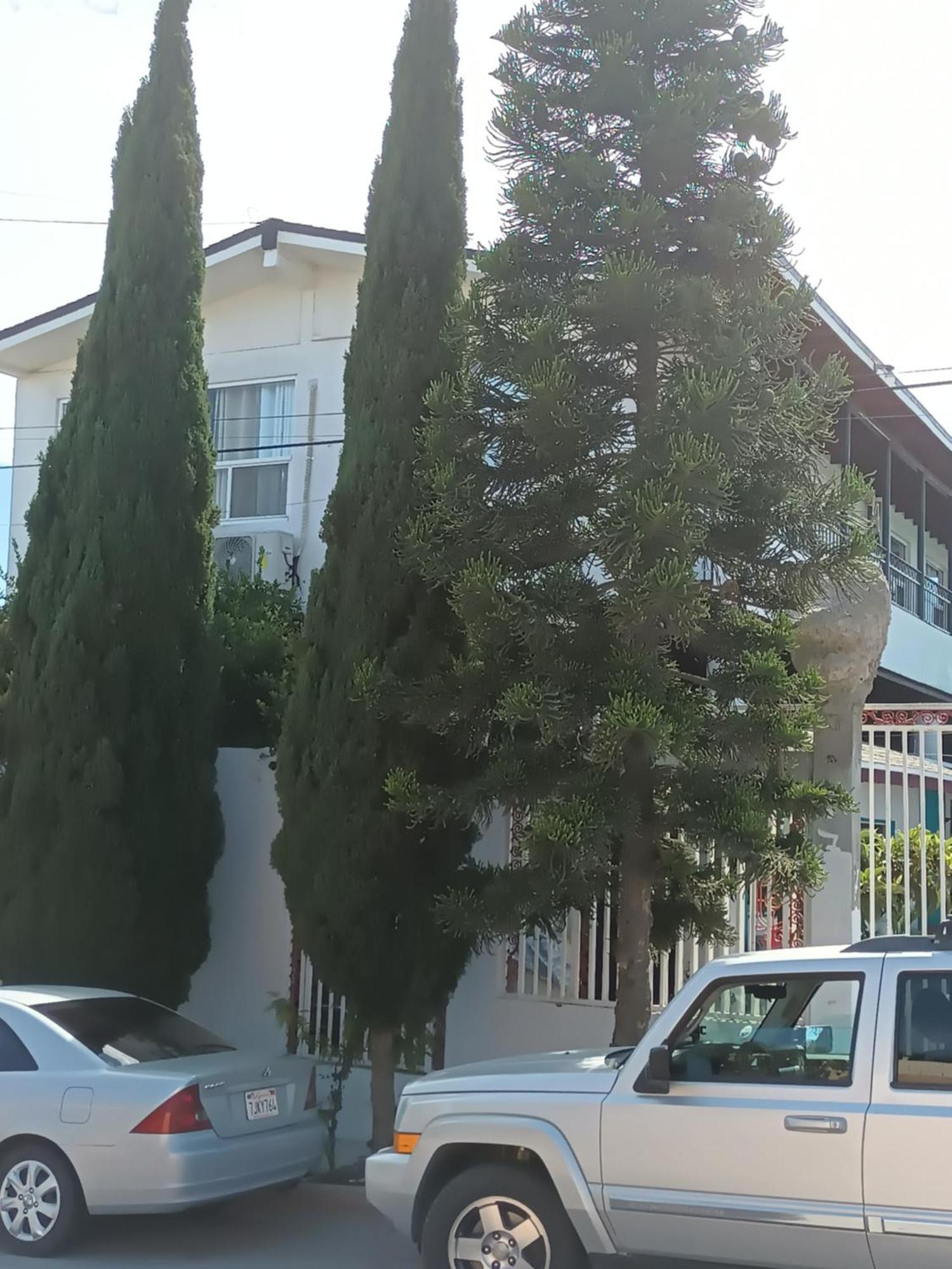 Apartamentos Rosarito.!! Con Vista Al Mar ! Екстериор снимка